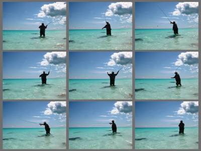 Ibn casting for sharks